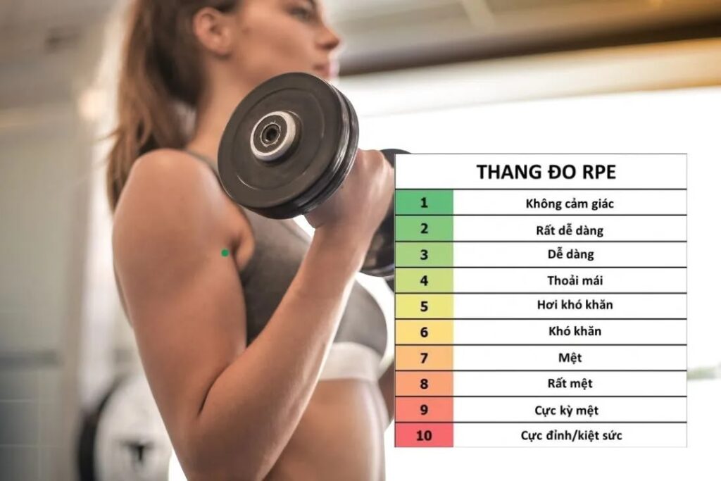 RPE là gì? Hiểu đúng và Các mức độ tập luyện bạn cần biết