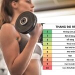 RPE là gì? Hiểu đúng và Các mức độ tập luyện bạn cần biết