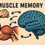 Muscle memory là gì? Những điều cần biết tập luyện