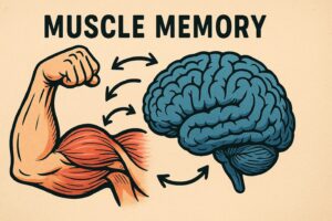 Muscle memory là gì? Những điều cần biết tập luyện