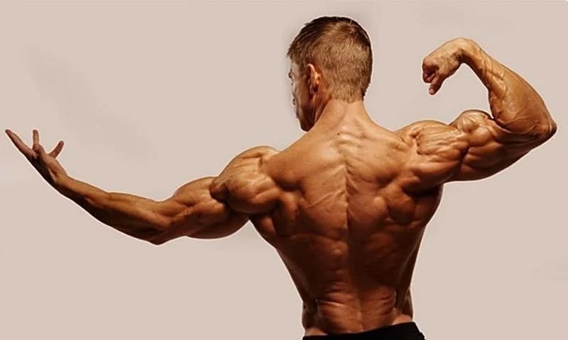 Muscle memory là gì? Những điều cần biết tập luyện 8 Muscle memory có giúp tăng cơ nhanh hơn người mới tập không?