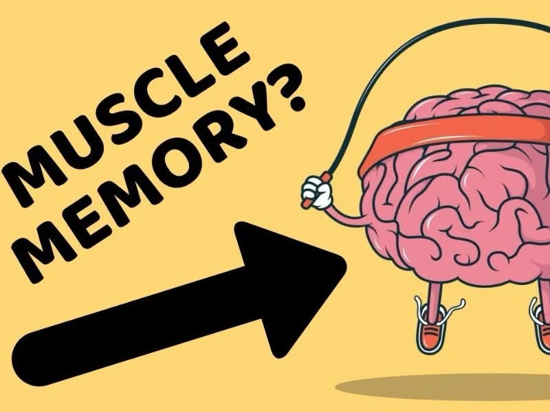 Muscle memory là gì? Những điều cần biết tập luyện 2 Muscle memory hay còn gọi là trí nhớ cơ bắp